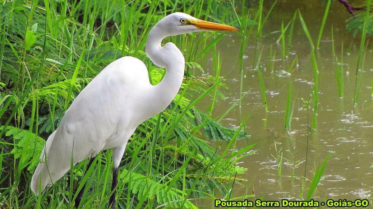 Pousada Serra Dourada Goiás Екстериор снимка